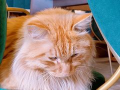 -后海16号·北京私房菜