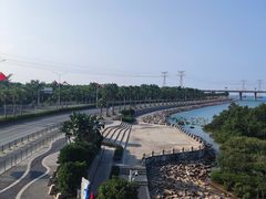 -宝安西湾红树林湿地公园