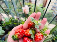 -泰宜担担面(黄泥塝总店)