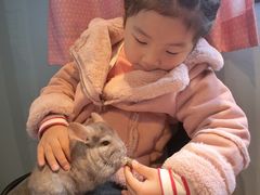 -藦茜花园宠物主题亲子互动体验馆(国顺东路店)