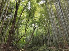 -杭州黄龙洞