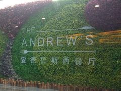 -新君悦国际酒店