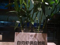 -成都诺亚8号酒店