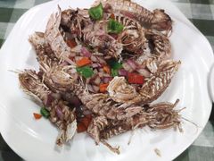 -宾朋海鲜特色美食餐厅·纯手工鲅鱼水饺(兴海路店)