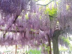 -尹兰楼西北风情餐厅(嘉定店)