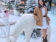 -大秦小宴•新派西北(万象前海店)