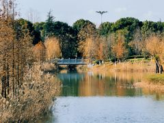 -狼山风景名胜区