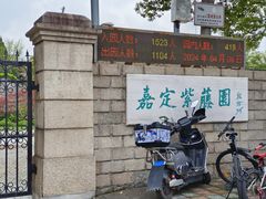 -嘉定紫藤园