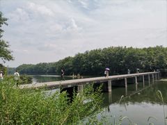 -西溪南古村落