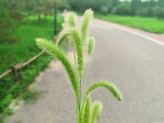 -马家湾湿地公园