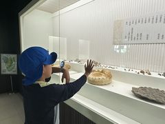 -青岛贝壳博物馆