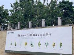 -青岛贝壳博物馆