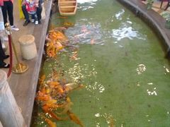 内部环境-金河半岛园林酒家(金融城店)