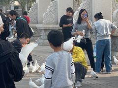 -天津妈祖文化园