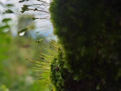 -太阳湾风景区