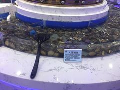 -澜悦港海鲜体验主题餐厅