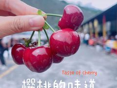 -甘堡藏寨