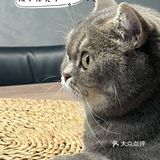 什么是快乐星球？脱口秀就五花肉！旁边孩子馋哭了[调皮]