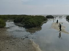 -北海金海湾红树林生态旅游区