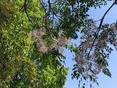 -四宜糕团店(南大街店)