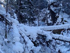 -峡谷浮石林景区