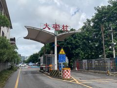 -星鹿农家乐·烤鸡·柴火鸡·团建