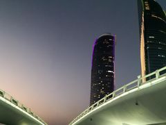 -演武大桥观景平台