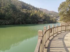 -洪崖丹井