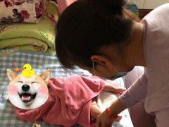 -田螺阿姨自营月嫂·育儿嫂(高新店)