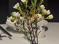 -炳胜品味(深圳万象城店（罗湖）)