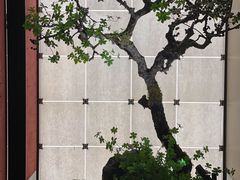 -湘上湘(米其林餐厅-正大中心总店)
