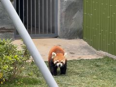 -成都动物园