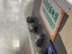 -半岛宠物医院24小时(白果林店)