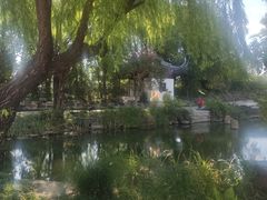 -长广溪湿地公园