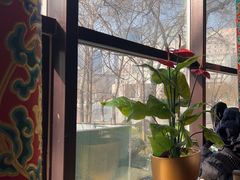 -羊大爷涮肉(亮马桥店)