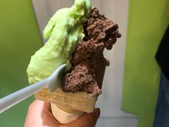 -柠檬车露(卖草地店)