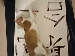 -宠颐生宠物医院·犬猫全科·皮肤科(商业街店)