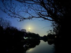 -上海海湾国家森林公园