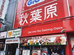 -秋叶原电器街