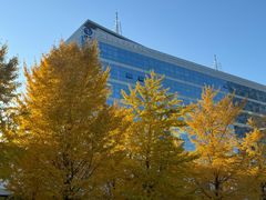 -锦江富园大酒店-游泳馆