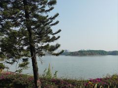 -海珠湖公园