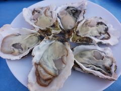 -千岛蚝高压锅生蚝·人参火锅(白云万达店)