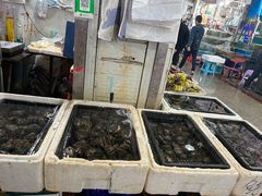 -京深海鲜市场(光彩路店)