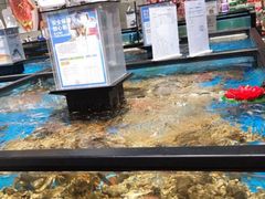 水产区-盒马鲜生(文景博乐里购物广场店)