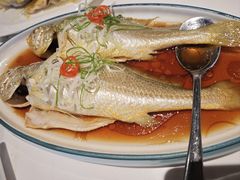 -波螺油子青岛本帮菜(银座店)