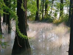 -东湖落雁景区