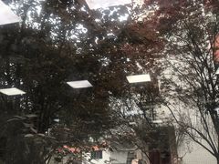 -四川大学(望江校区)