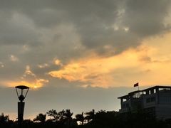 -立新湖公园