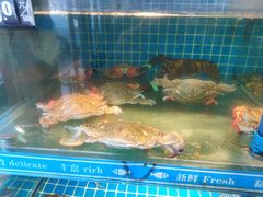-鲜鲜·鲅鱼圈海鲜(于洪店)