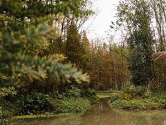 -桤木河湿地公园